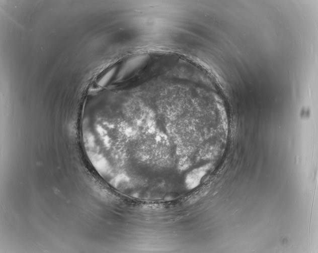 X0000093720353200711131019