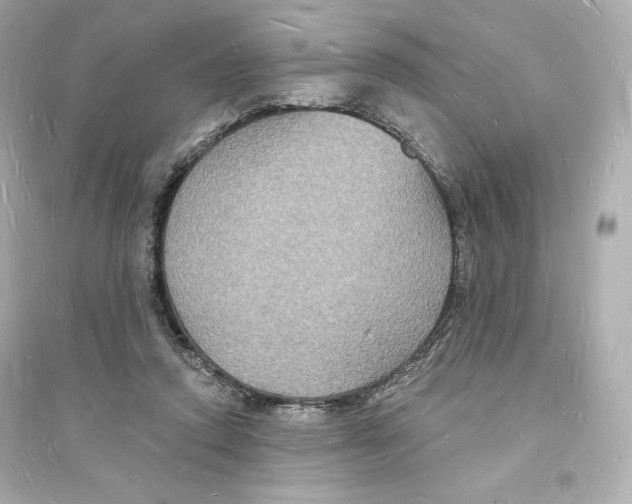 X0000093720354200711131019