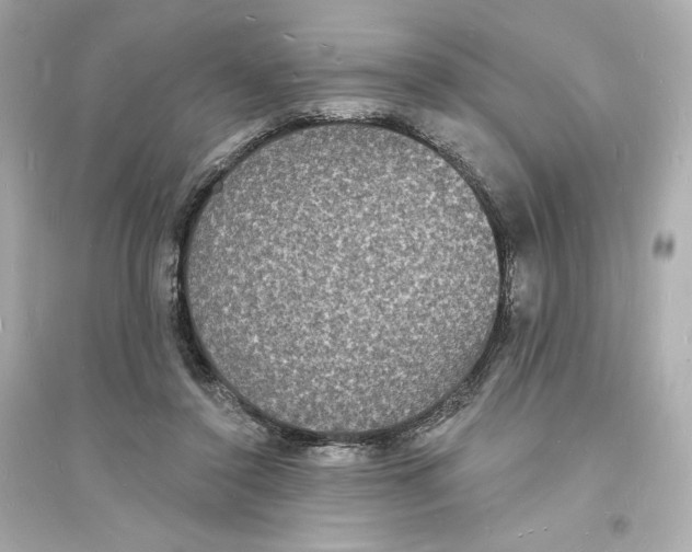 X0000093720356200711131019