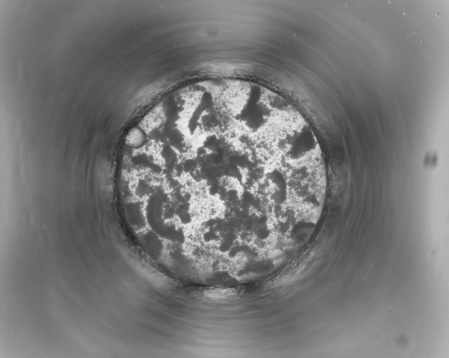 X0000093720357200711131019