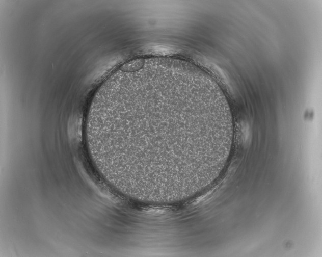 X0000093720358200711131019