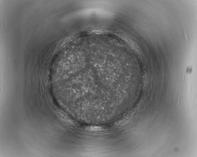 X0000093720361200711131019