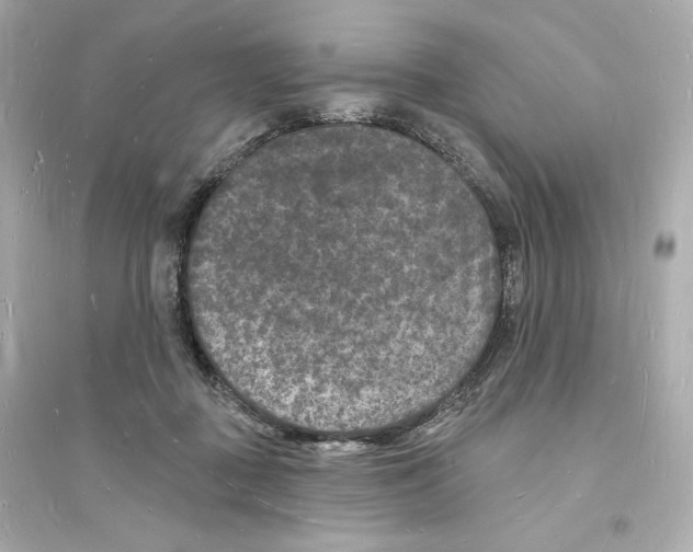 X0000093720363200711131019