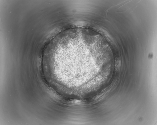 X0000093720365200711131019