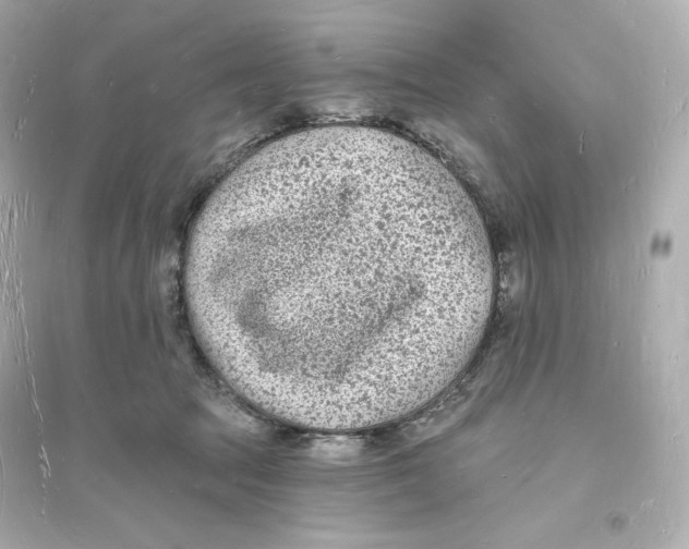 X0000093720369200711131019