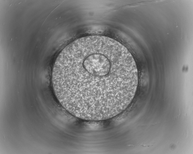 X0000093720370200711131019