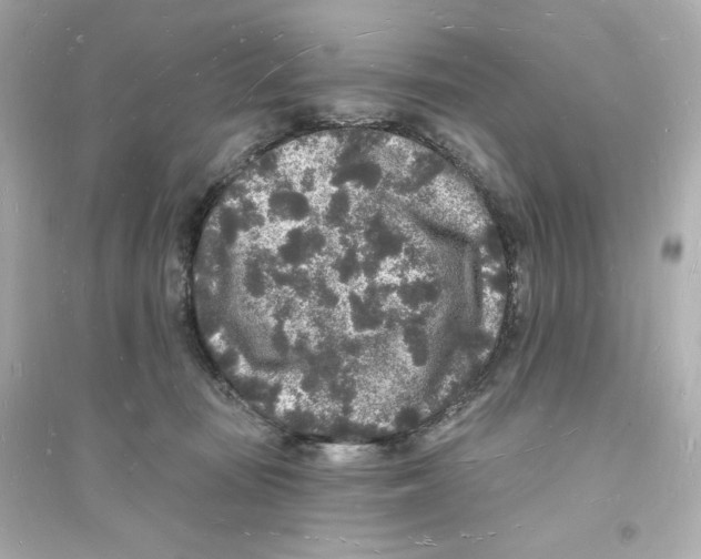 X0000093720371200711131019