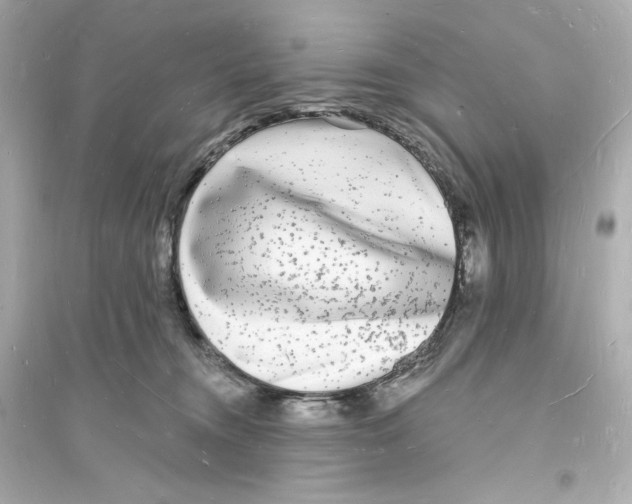 X0000093720372200711131019