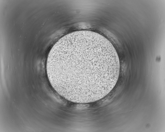 X0000093720373200711131019