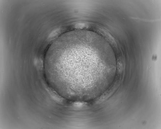 X0000093720375200711131019