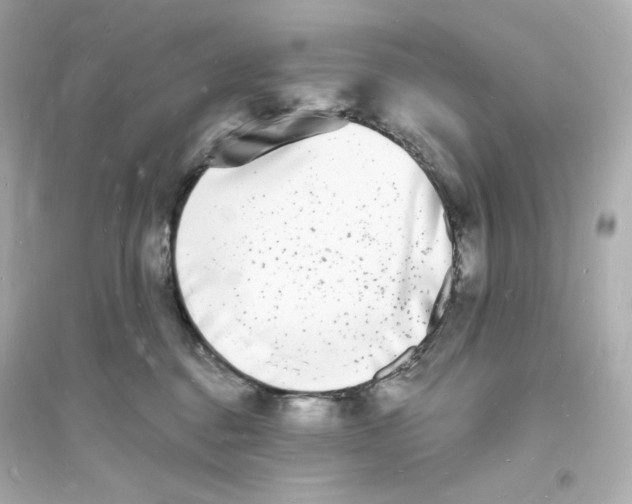 X0000093720376200711131019