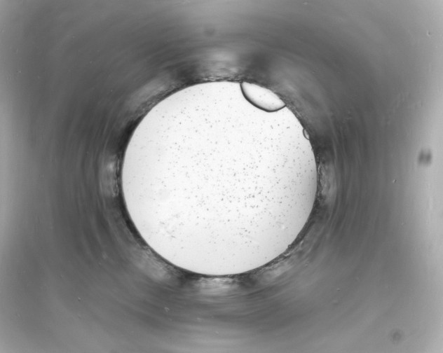 X0000093720378200711131019