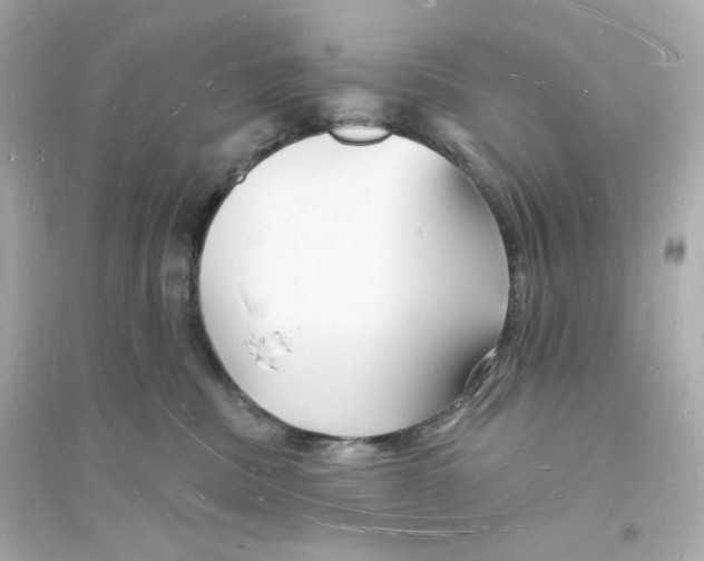 X0000093720379200711131019