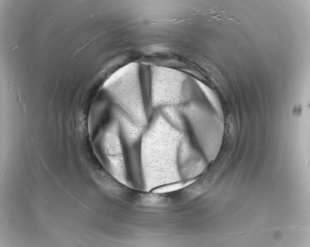 X0000093720380200711131019