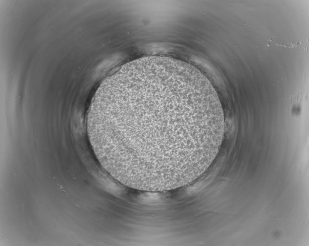 X0000093720381200711131019