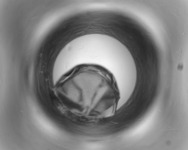 X0000093720382200711131020