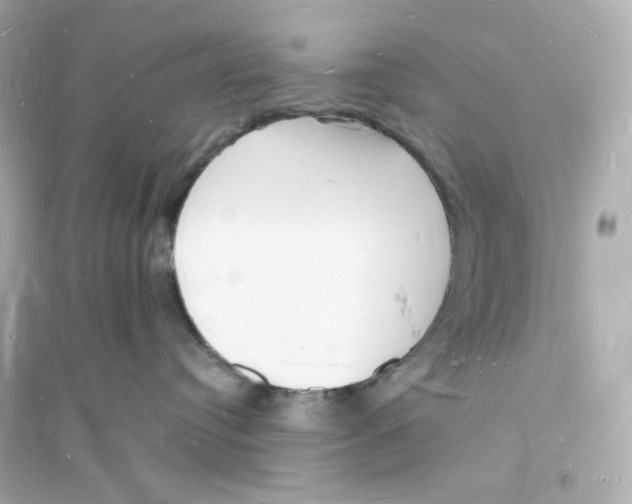 X0000093720384200711131020