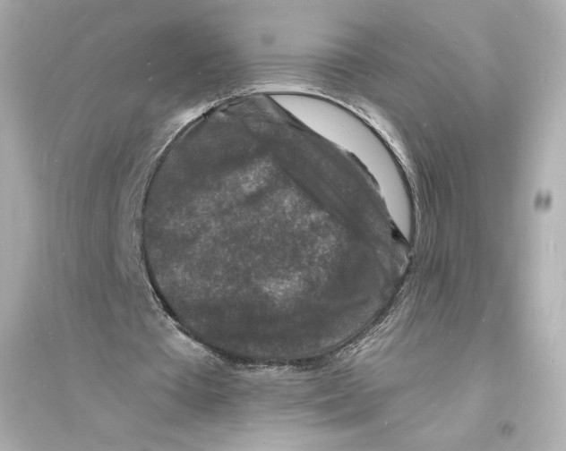 X0000093720385200711131019