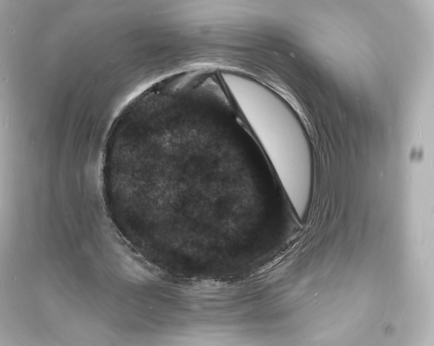 X0000093720387200711131019