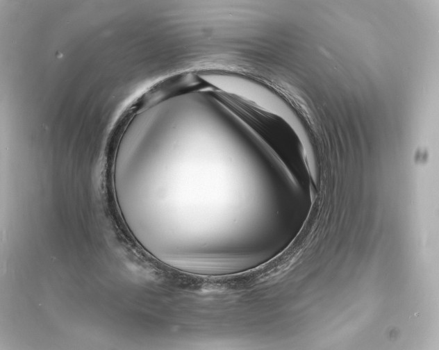 X0000093720388200711131019