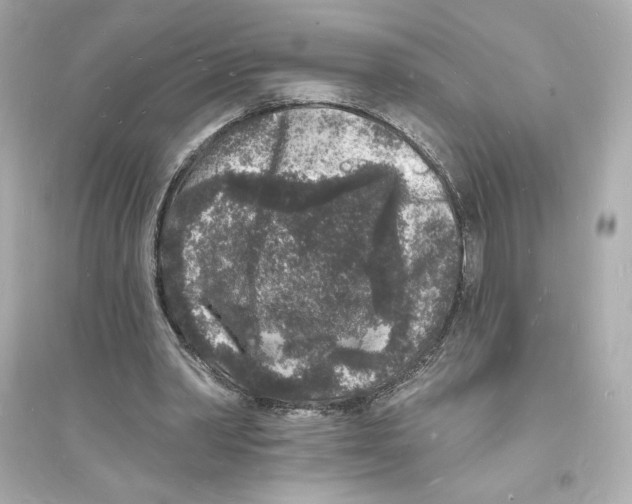 X0000093720390200711131019