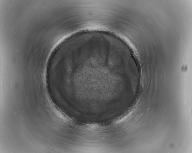 X0000093720391200711131019