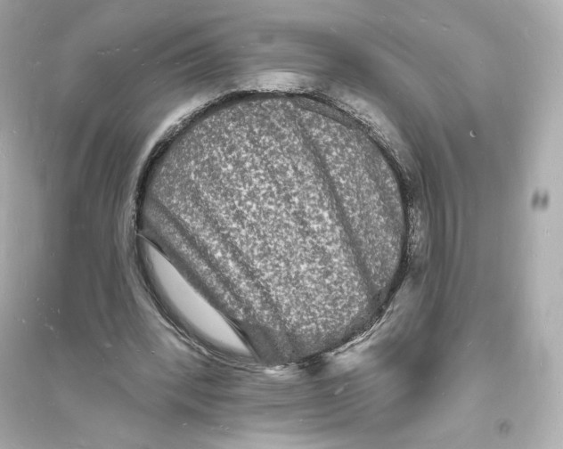 X0000093720392200711131019