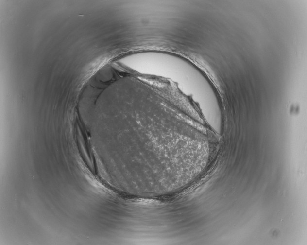 X0000093720393200711131019