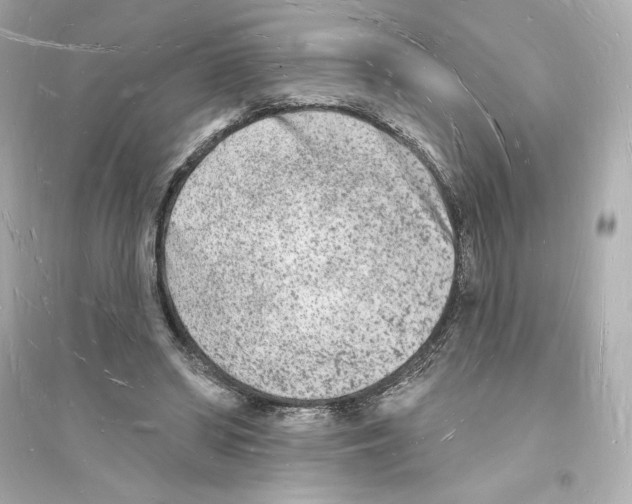 X0000093720398200711131019