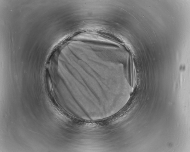 X0000093720399200711131019