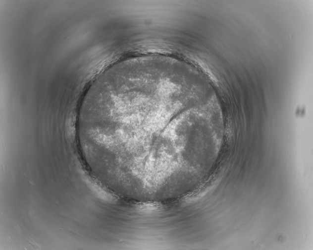 X0000093720402200711131019