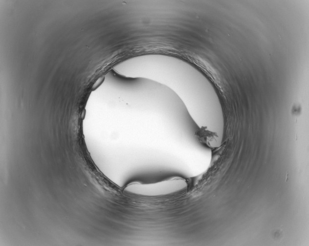 X0000093720405200711131019