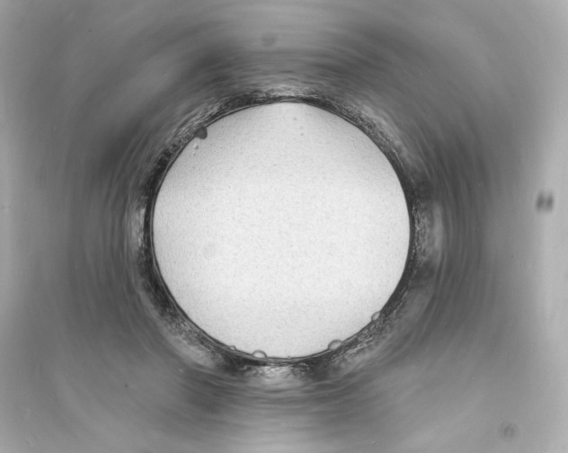 X0000093720406200711131019