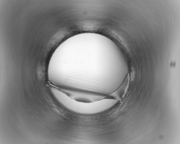 X0000093720407200711131019