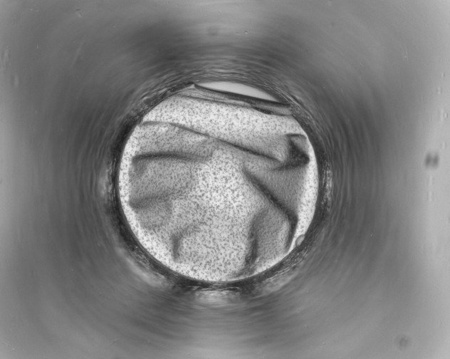 X0000093720408200711131019