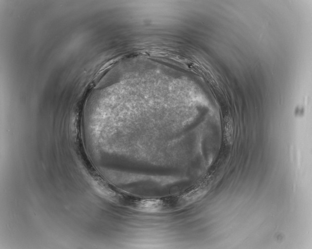 X0000093720410200711131019