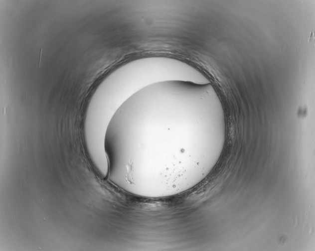 X0000093720411200711131019