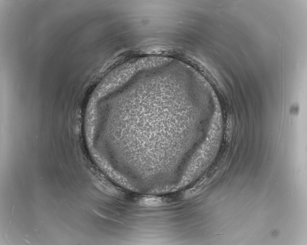 X0000093720413200711131018