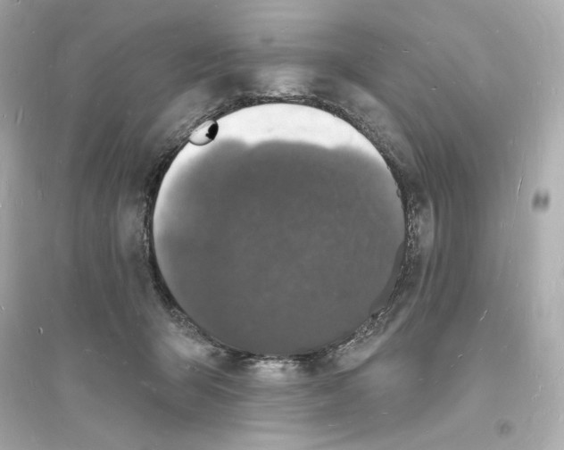 X0000093720415200711131018