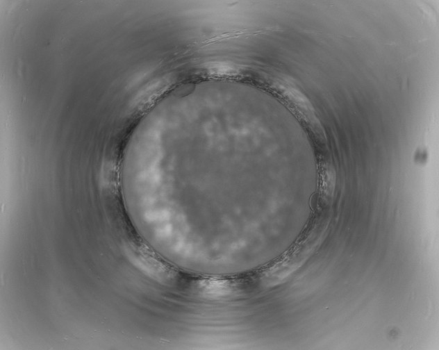 X0000093720419200711131018