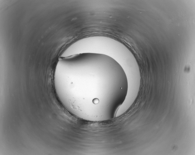 X0000093720423200711131018