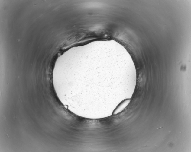 X0000093720424200711131018