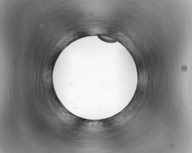 X0000093720426200711131018