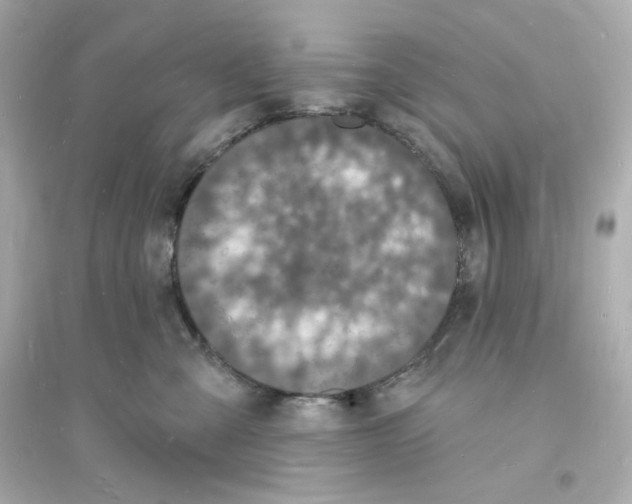 X0000093720427200711131018