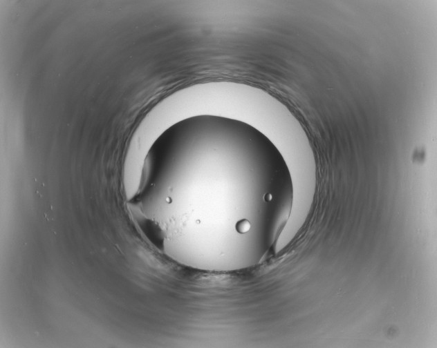 X0000093720428200711131018