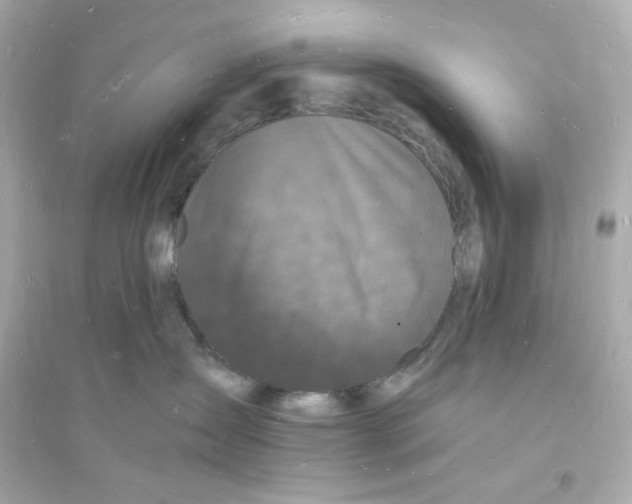 X0000093720431200711131018