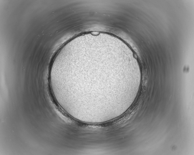 X0000093720437200711131017