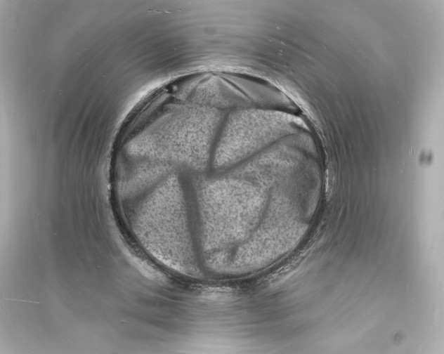 X0000093720438200711131017