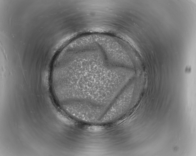 X0000093720444200711131018