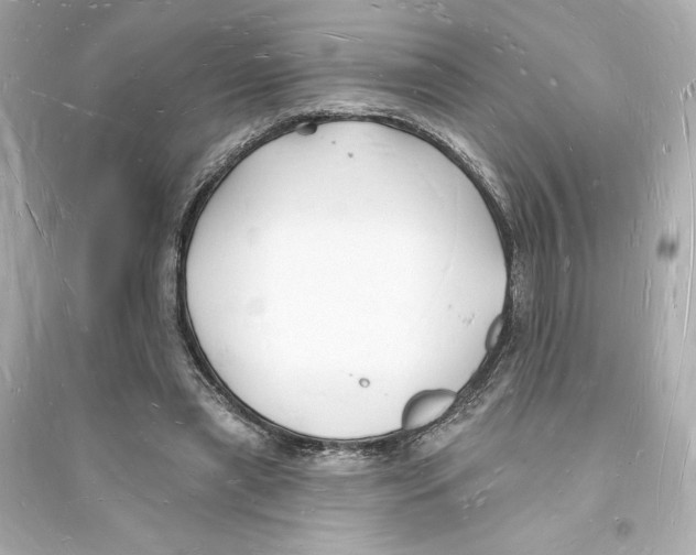 X0000093720445200711131018